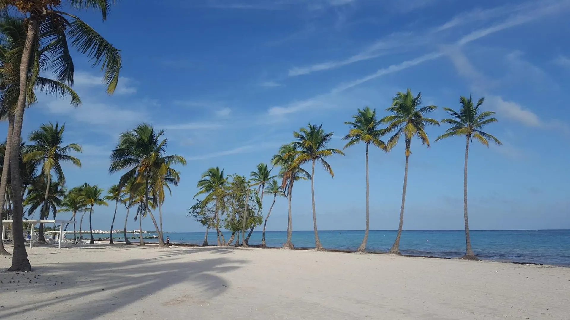 Big Apartment Whit Pool Jacuzzi Terrace Punta Cana